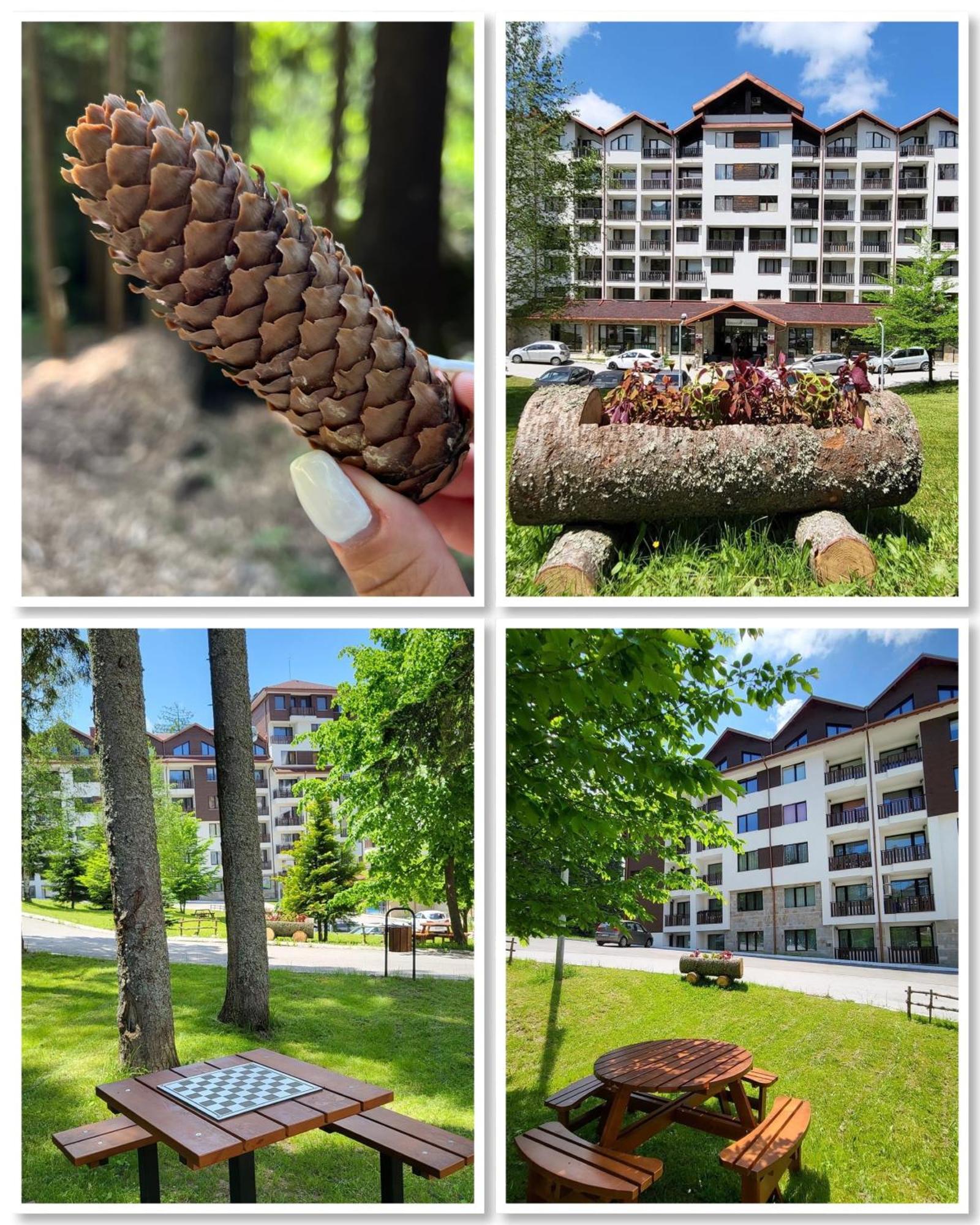 The Green Apartment โบโรเวทส์ ภายนอก รูปภาพ